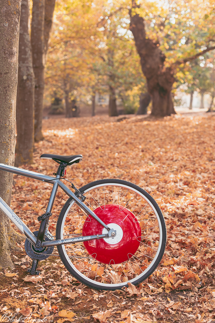 Copenhagen clearance wheel amazon